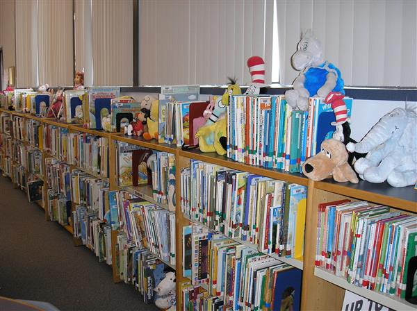 photo of primary fiction book shelves